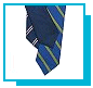 Click to view our SchoolTies